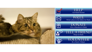A Cat Came in Third in Virginia's Senate Race